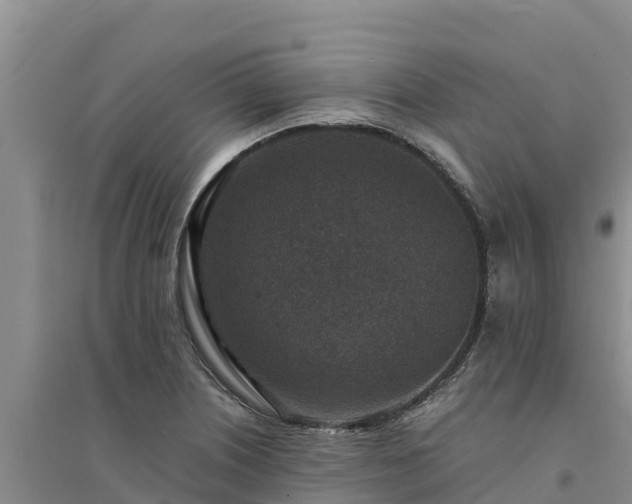 X0000094341226200711091421