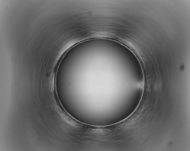 X0000094341227200711091421