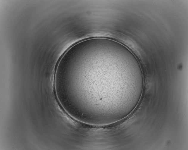 X0000094341228200711091421