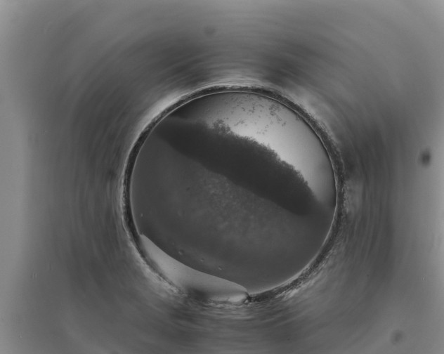 X0000094341229200711091422