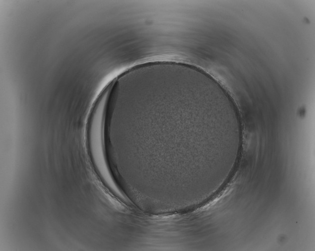 X0000094341230200711091422