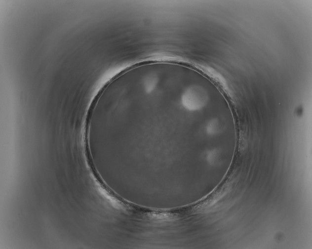 X0000094341231200711091422