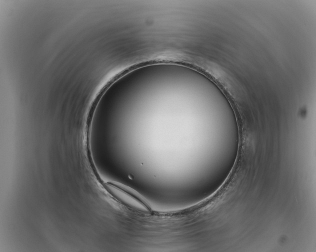 X0000094341232200711091422