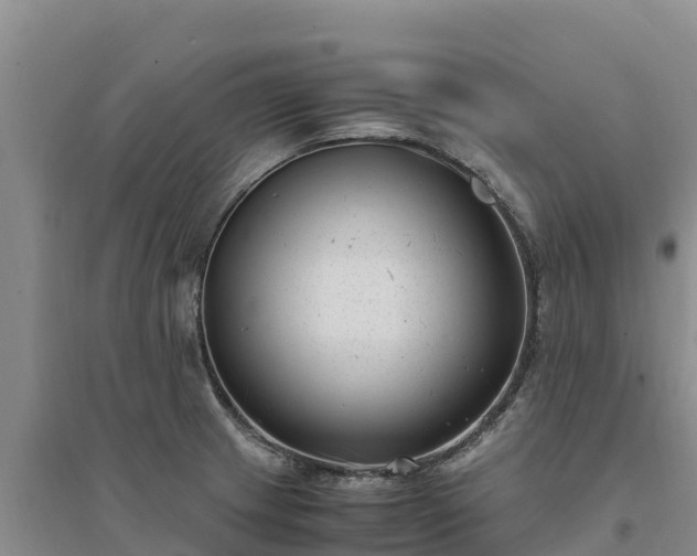 X0000094341233200711091422