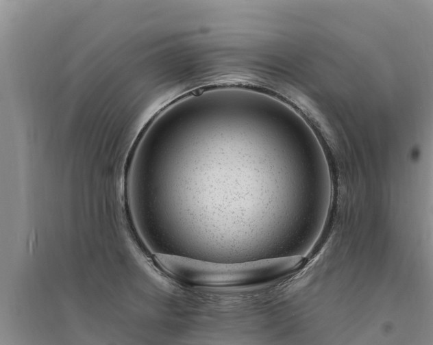 X0000094341234200711091422