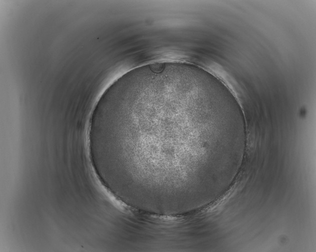 X0000094341235200711091422