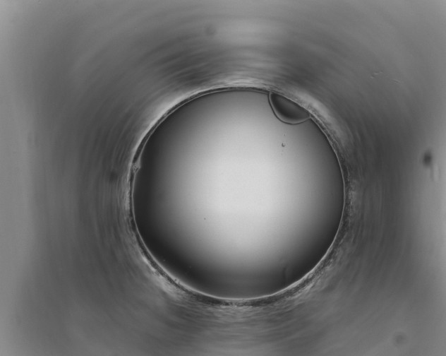 X0000094341236200711091422