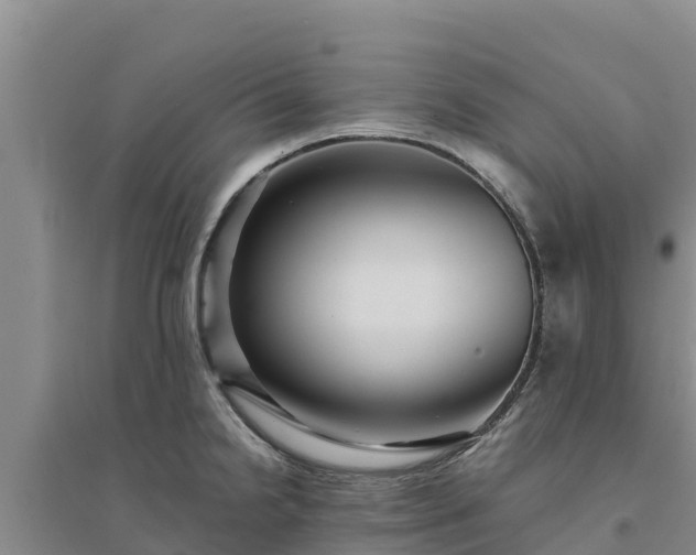 X0000094341238200711091422