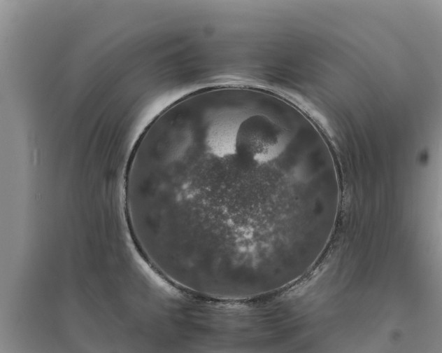 X0000094341239200711091422