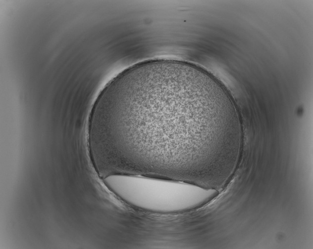 X0000094341240200711091422