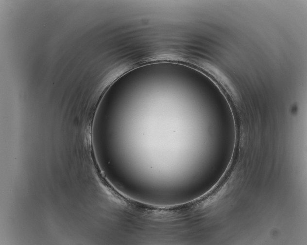 X0000094341241200711091422