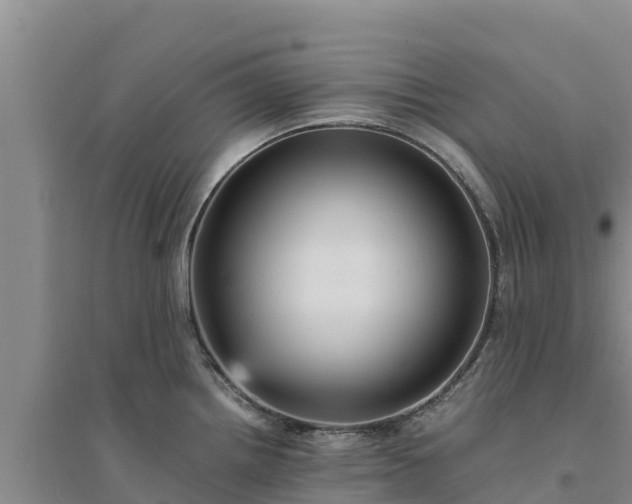 X0000094341242200711091422