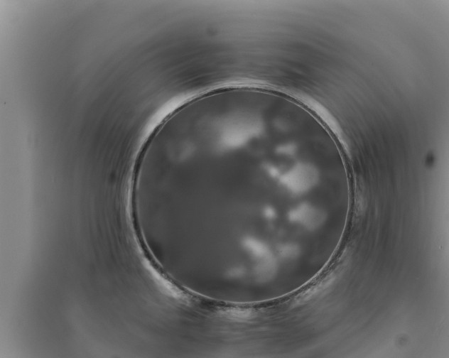 X0000094341245200711091422
