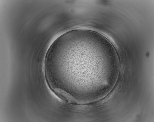X0000094341247200711091422