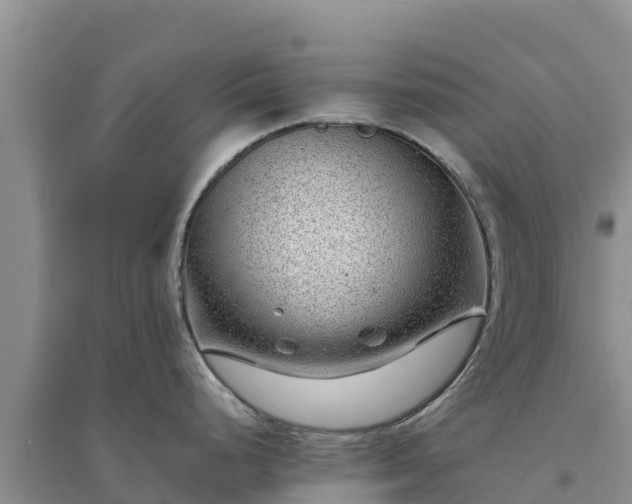 X0000094341248200711091422