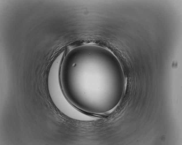 X0000094341249200711091421