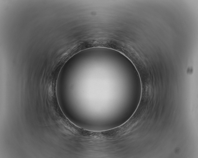 X0000094341250200711091421