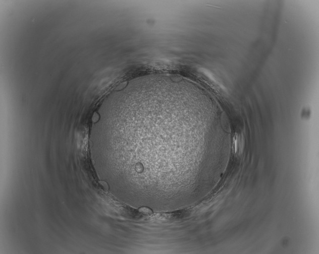 X0000094341251200711091421