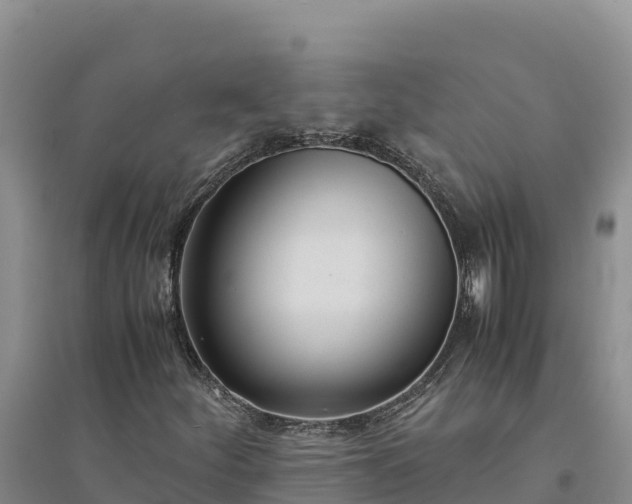 X0000094341252200711091421