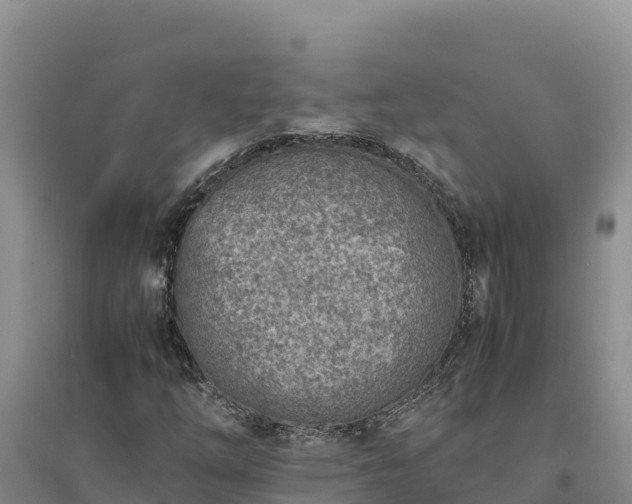 X0000094341254200711091421