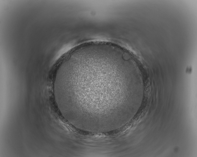 X0000094341255200711091421