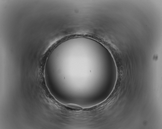 X0000094341256200711091421