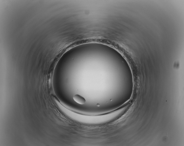 X0000094341257200711091421