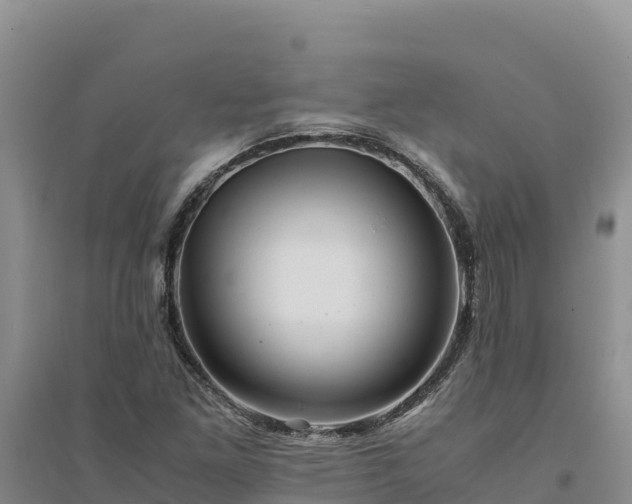 X0000094341261200711091421