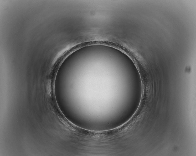X0000094341262200711091421