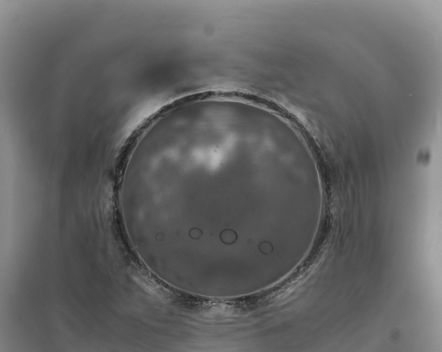 X0000094341263200711091421