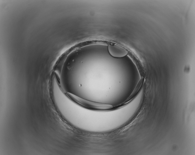 X0000094341264200711091421