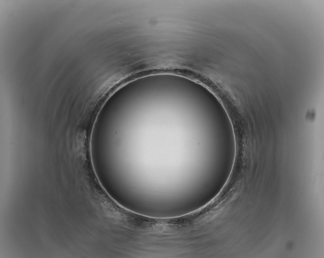 X0000094341265200711091421