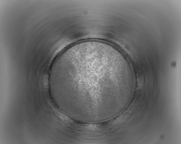 X0000094341266200711091421
