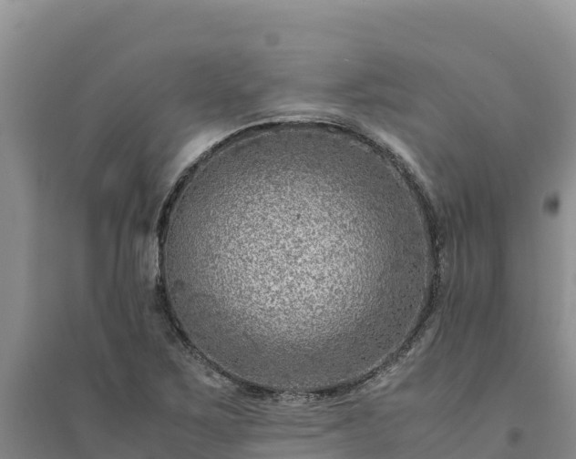 X0000094341267200711091421