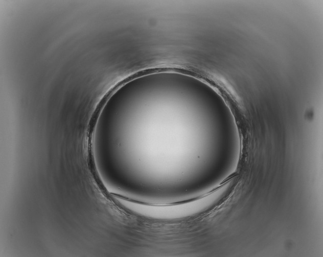 X0000094341268200711091421
