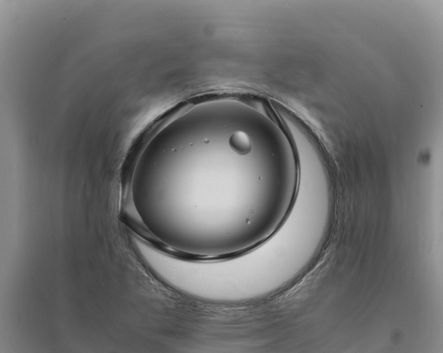X0000094341269200711091421