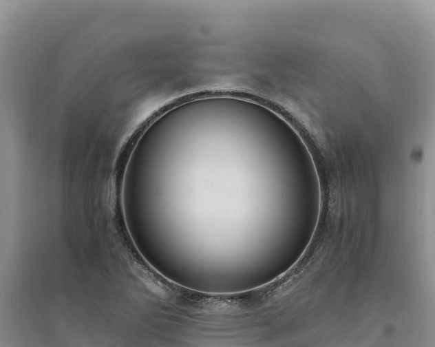 X0000094341270200711091421