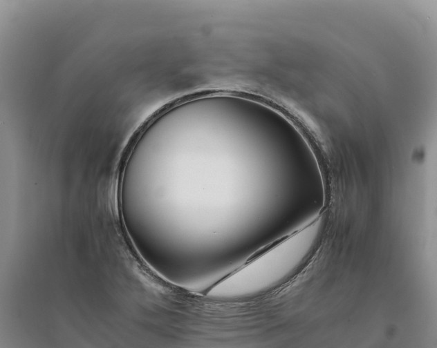 X0000094341272200711091421