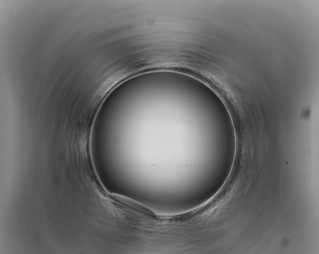 X0000094341273200711091421