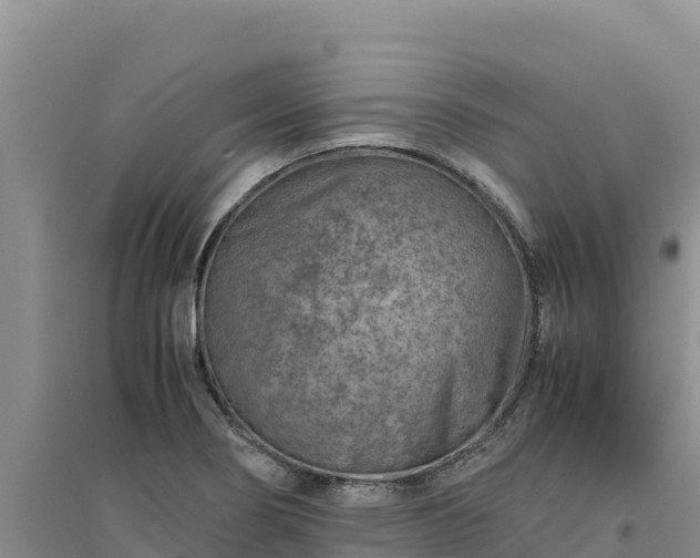 X0000094341274200711091421
