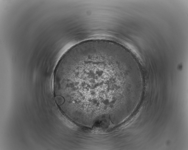 X0000094341275200711091421