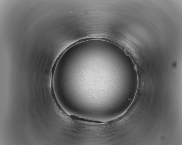 X0000094341276200711091421