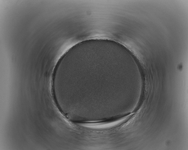 X0000094341277200711091421
