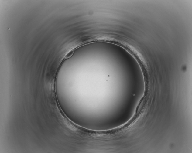 X0000094341281200711091421
