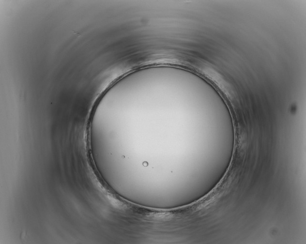 X0000094341282200711091421