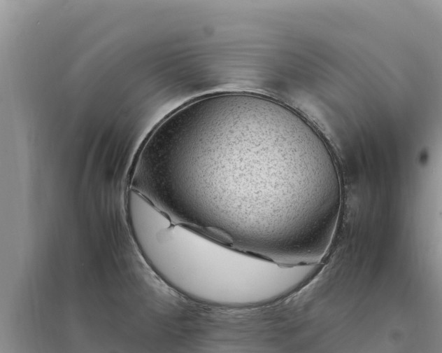 X0000094341284200711091421