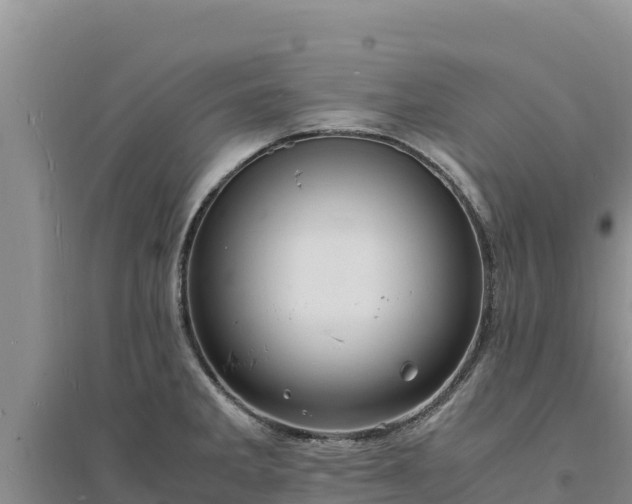 X0000094341285200711091421