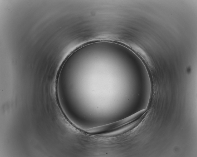 X0000094341288200711091421