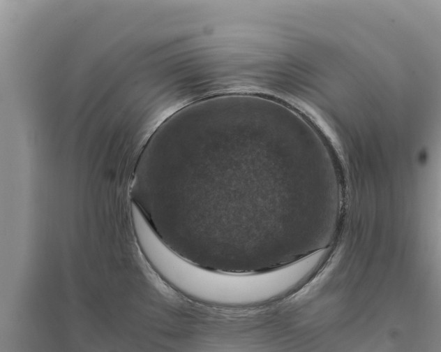 X0000094341289200711091421