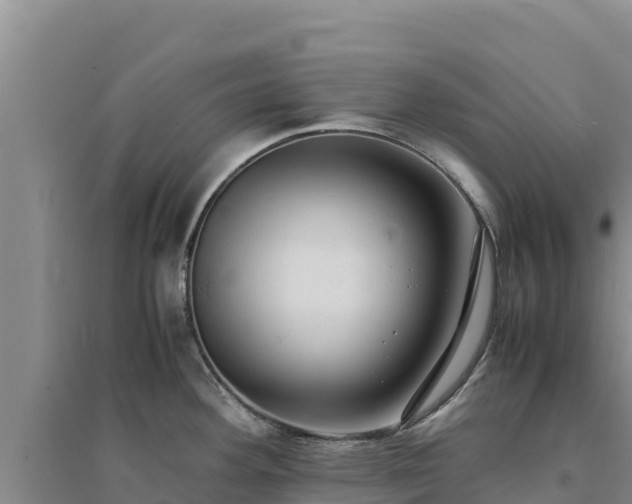 X0000094341292200711091421